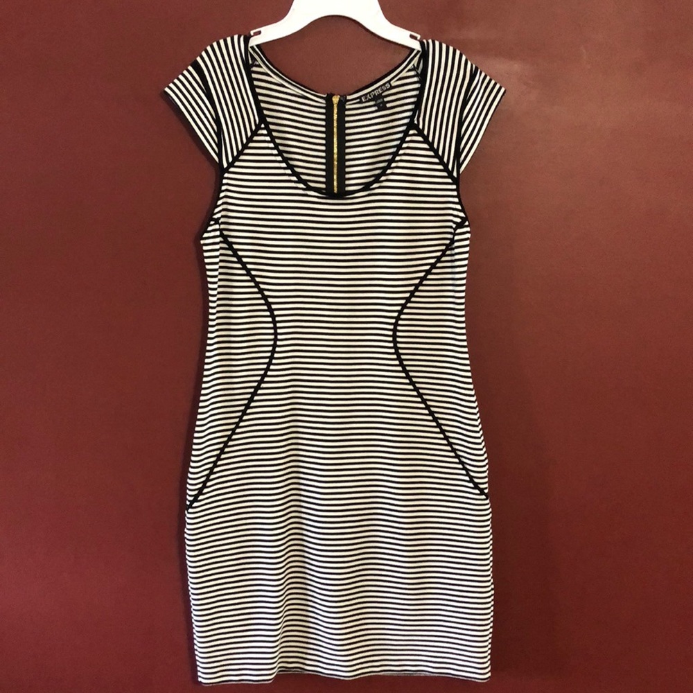 Fitted Evening Dress